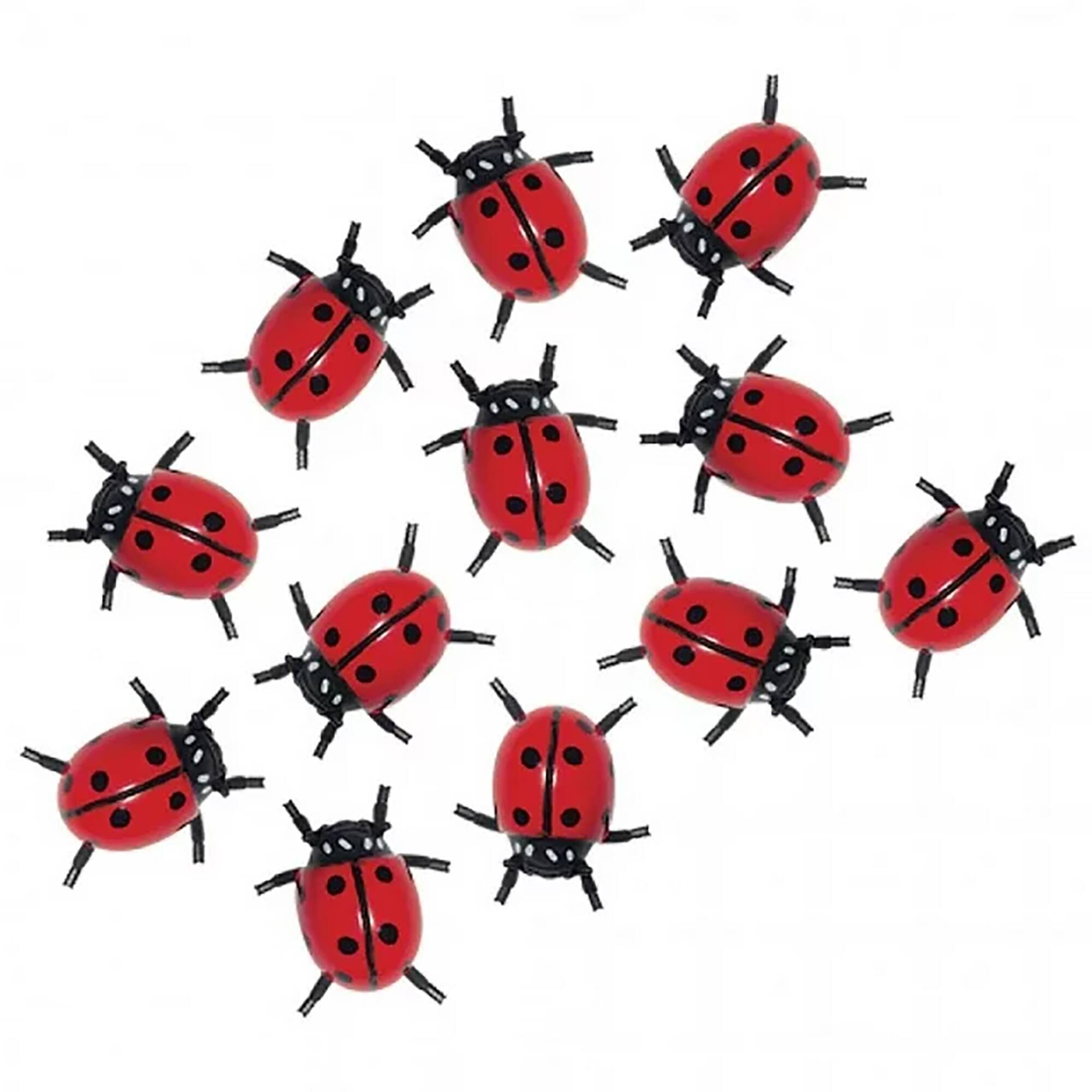 Insect Lore Lots Of Ladybugs, 3 Packs of 12